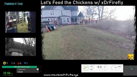 Let's Feed the Chickens - Ep:15 :: Seasons v Climate Change