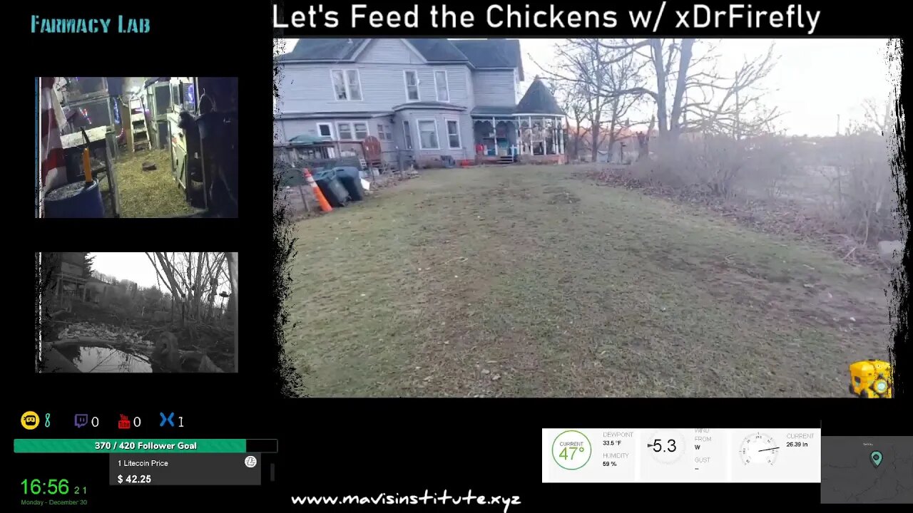 Let's Feed the Chickens - Ep:15 :: Seasons v Climate Change