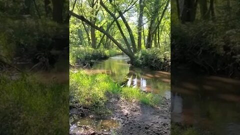 peaceful nature river.