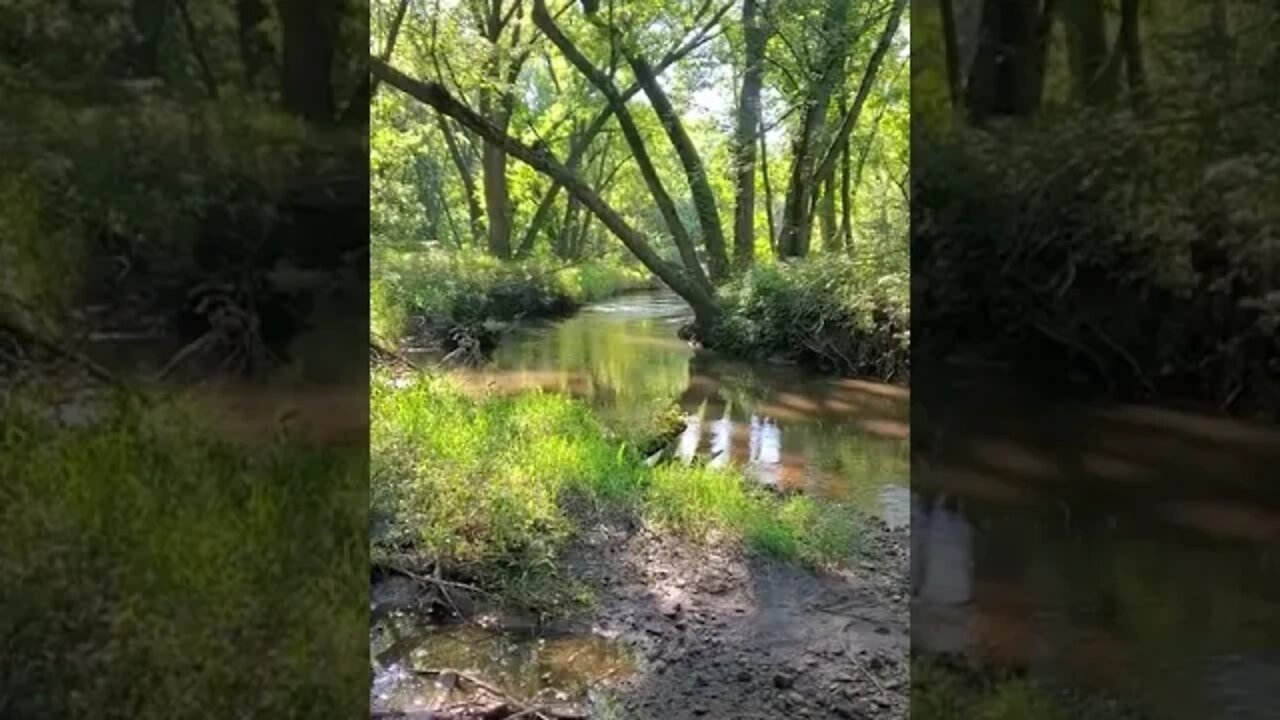 peaceful nature river.