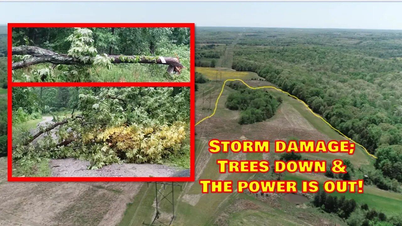 Storm damage trees down-power outage & Generator chat. How you can be prepared..