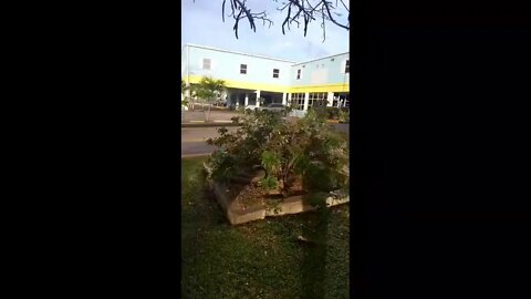 Live: Airport road At Cayman Islands / Test Livestreaming