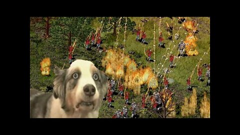 Stronghold Fire In A Nutshell #Shorts Version