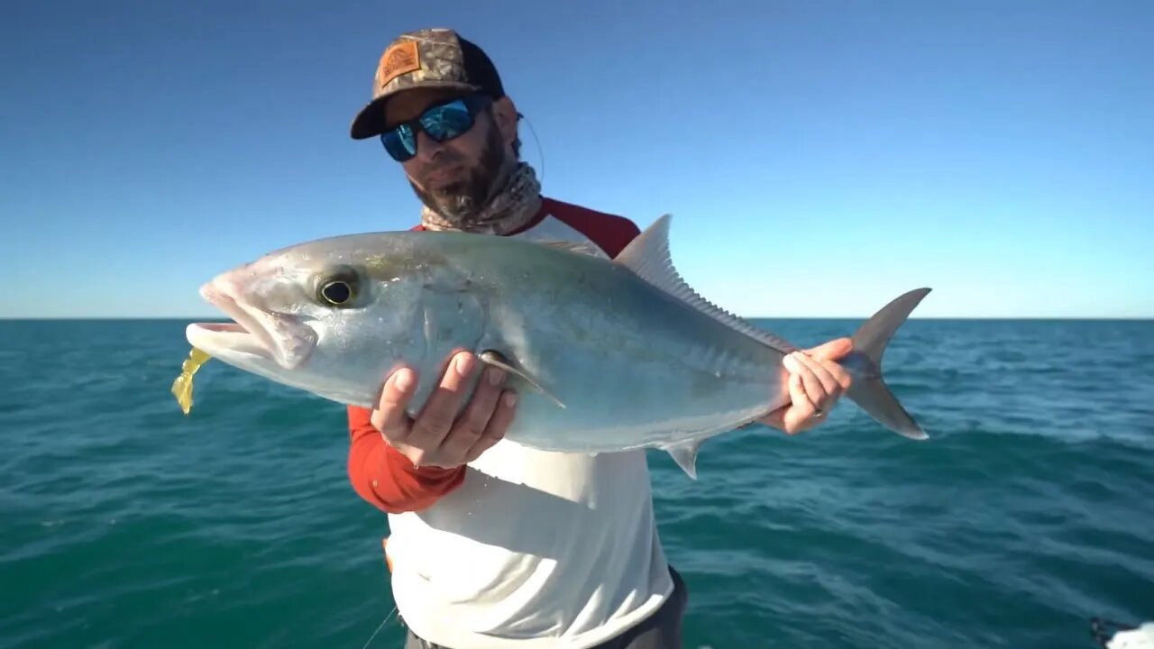 Fishing The Blackthorn Reef: Offshore John's Pass Amberjack, Rudderfish, and Gag Grouper PT 2