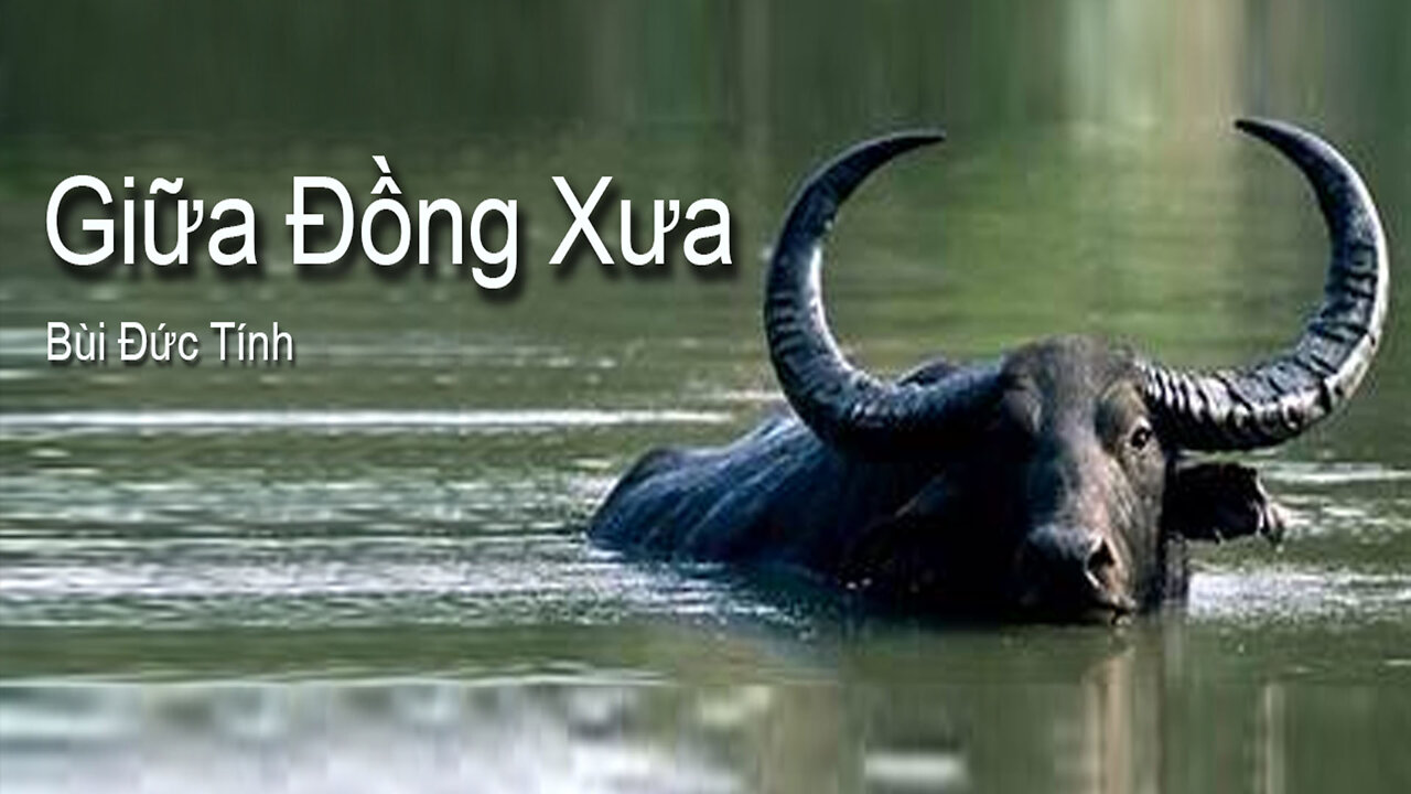 #030 | Giữa Đồng Xưa