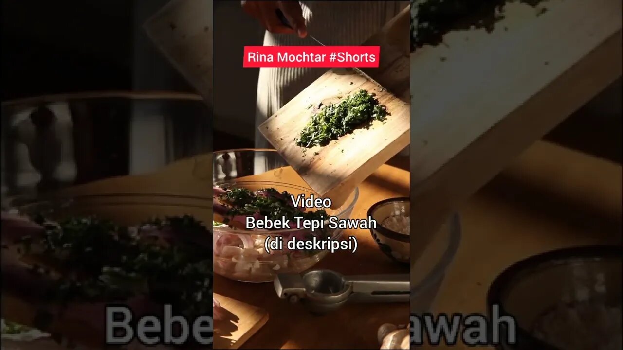 Video Bebek Tepi Sawah #shorts