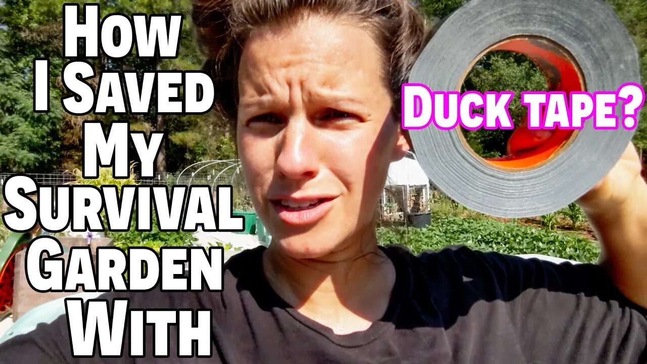 How I Saved My SURVIVAL GARDEN~WHAT WE EAT IN A DAY~ 21st Century Farm Wife