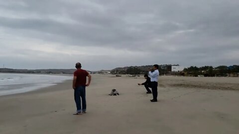 Playa Punta Sal - Perú