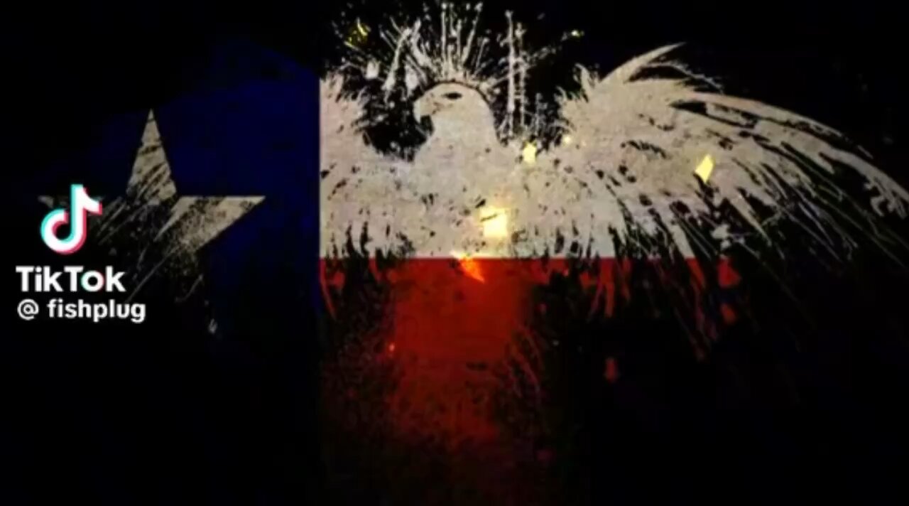 Texas has its own military.