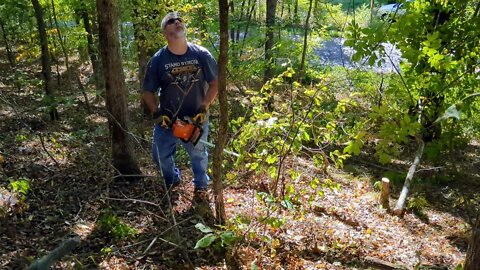 Clearing The Entrance To Our Driveway Thru The Woods