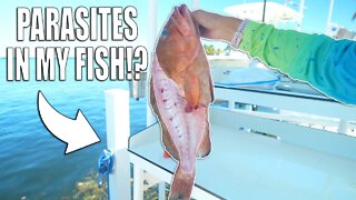 I Found PARASITES in My Fish | 2 Night Fishing Trip Goes Home Early