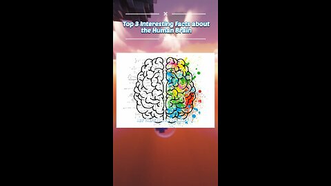 Top 3 Interesting Facts about the Human Brain