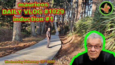 maurieos DAILY VLOG #1029 induction #1