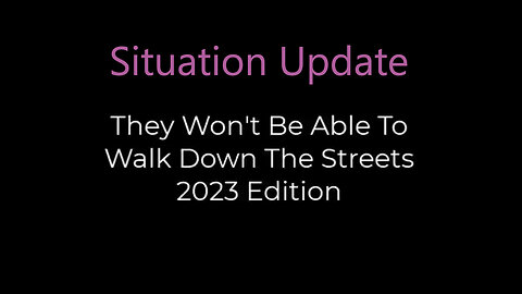 Situation Update ~ They Won't Be Able to Walk Down The Street 2023 Edition