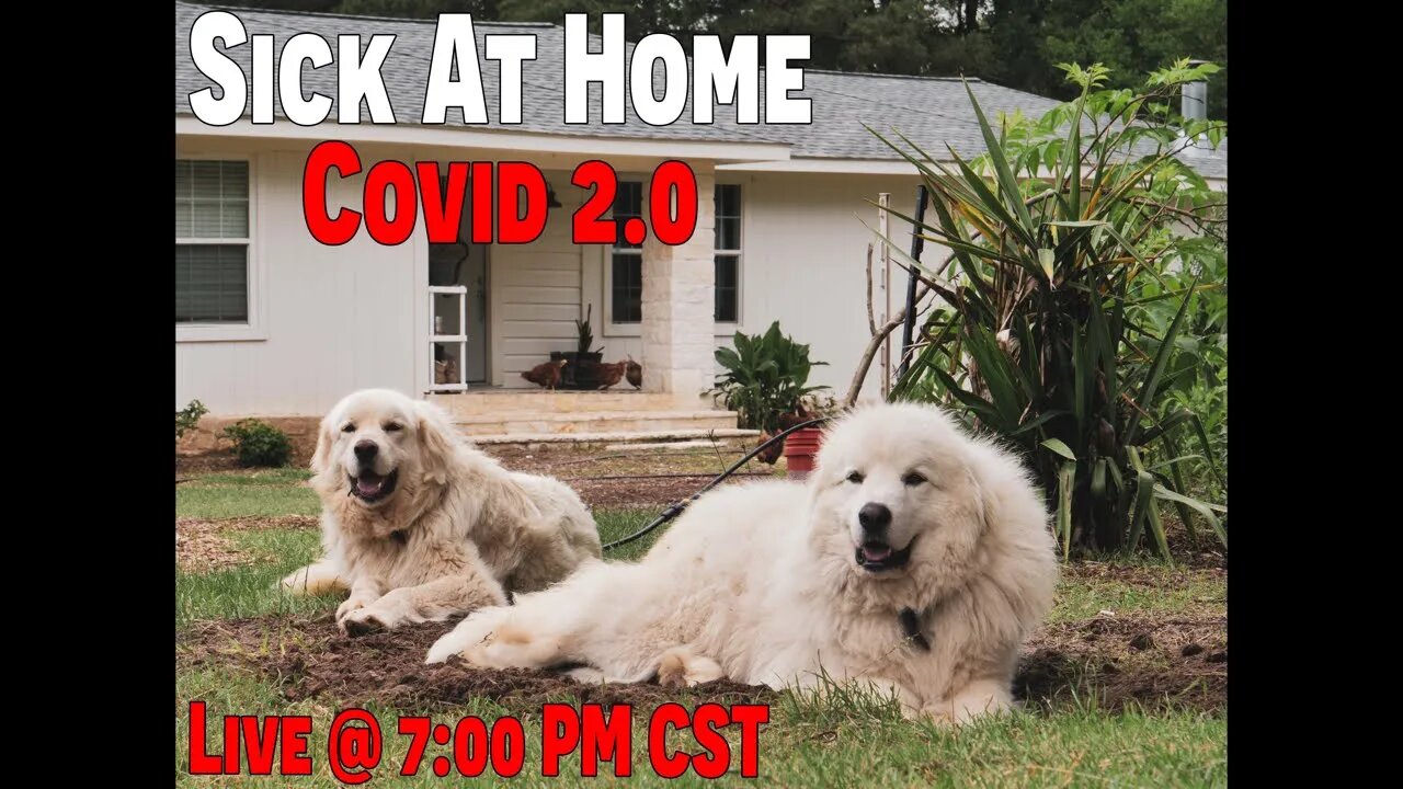 LIVE 7pm CST tonight