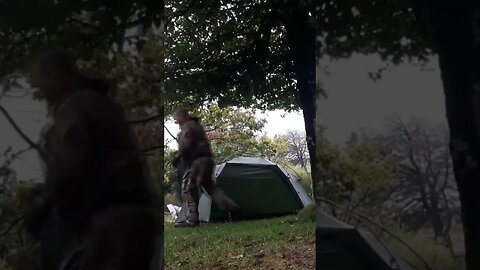 clearing down a tent after it has been raining