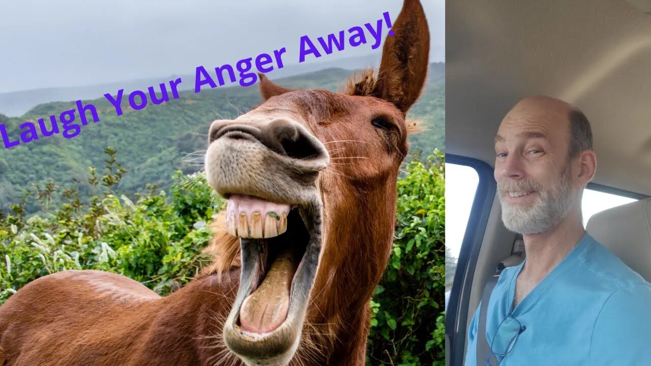 Laugh Your Anger Away!