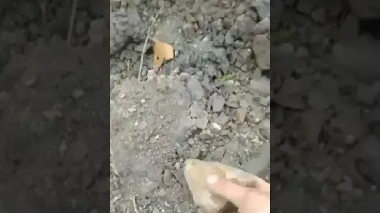 π·πΊπΊπ¦ This Is How Every Morning Should Start For Ukrainian Militants