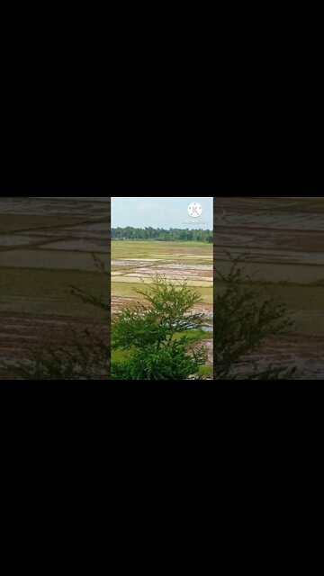 हमारे देश में बेरोजगारी क्यों, कारण देखा #kese hamari desh ki youths #shorts @NABAJYOTIDAS1