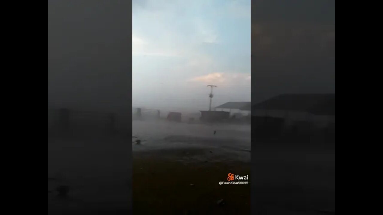 vídeos shorts do kawai #shorts