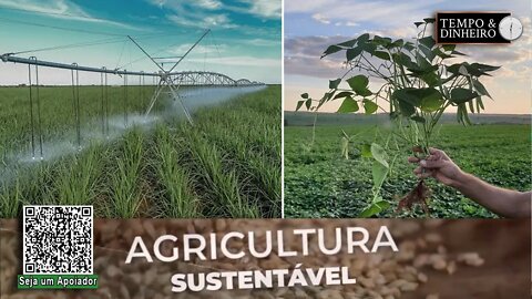 Para o IAC, a Agricultura Sustentável oferece novas oportunidades para o produtor rural - RZ