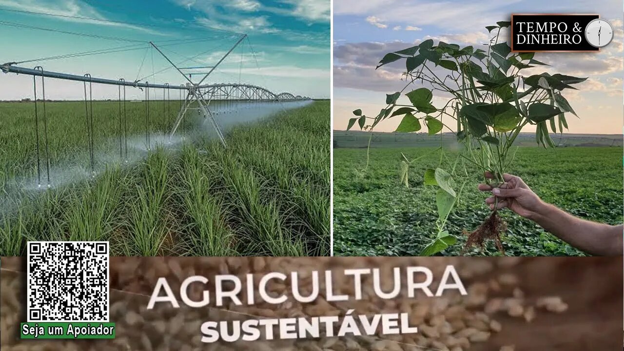 Para o IAC, a Agricultura Sustentável oferece novas oportunidades para o produtor rural - RZ