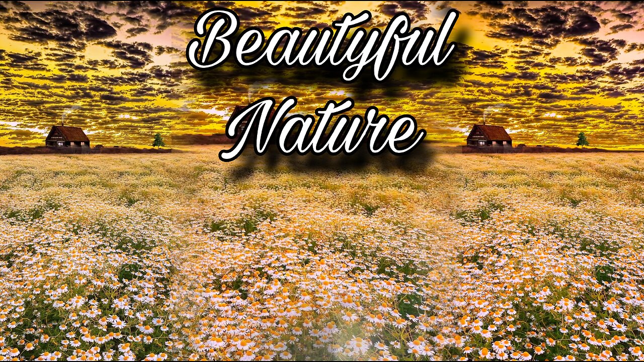 Beautiful nature