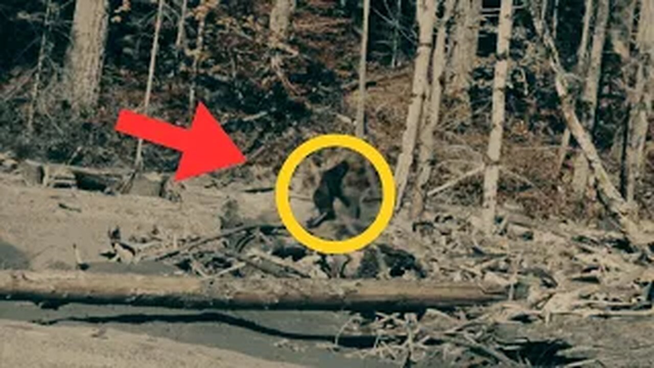 THE PATTERSON GIMLIN FILM (BIGFOOT)