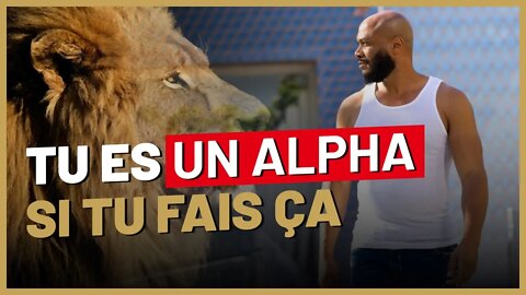 5 signes qui prouvent que tu es un alpha