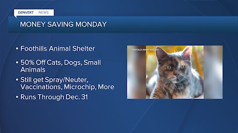 Foothills Animal Shelter offering 50% off