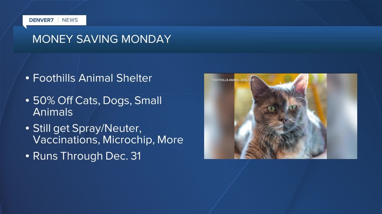 Foothills Animal Shelter offering 50% off