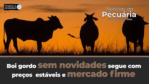 Boi gordo sem novidades segue com preços estáveis .Competição pelo gado deu uma acalmada.