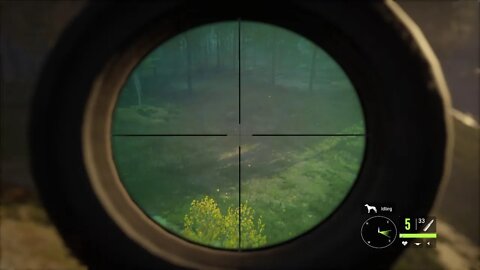 TheHunter :Call of the Wild