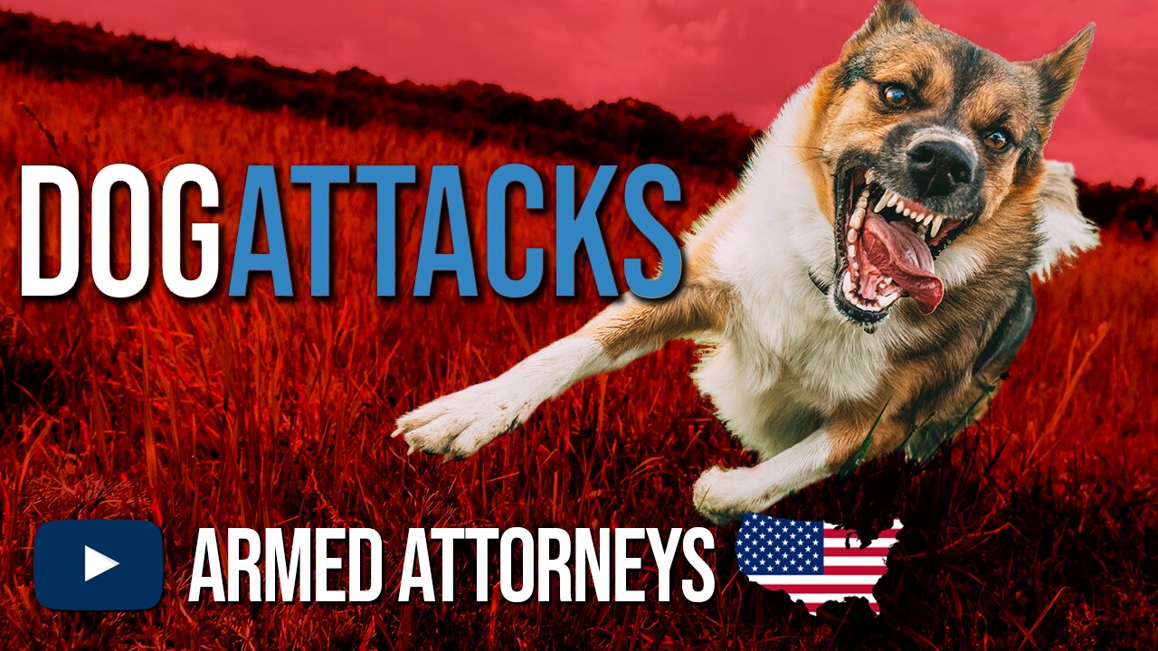 Self-Defense Against Dog Attacks - Why You Must Plan