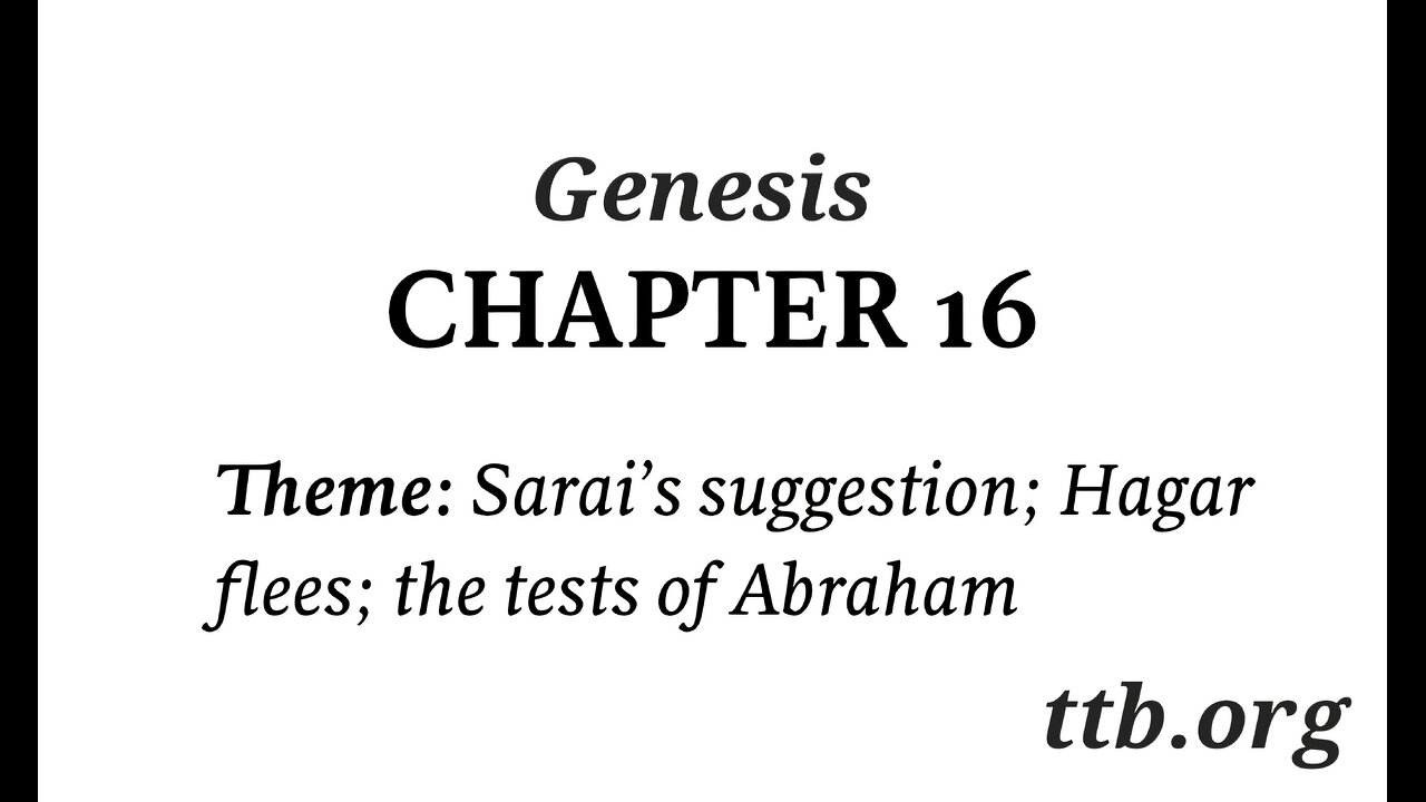 Genesis Chapter 16 (Bible Study)