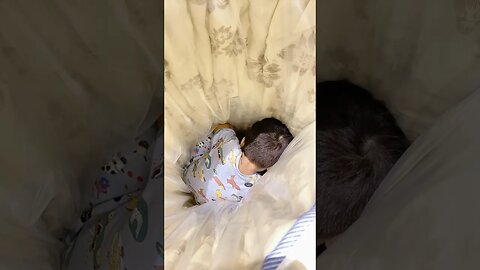 Humayl trapped inside the mattress #shortsfeed #trendingshorts #baby #crazy