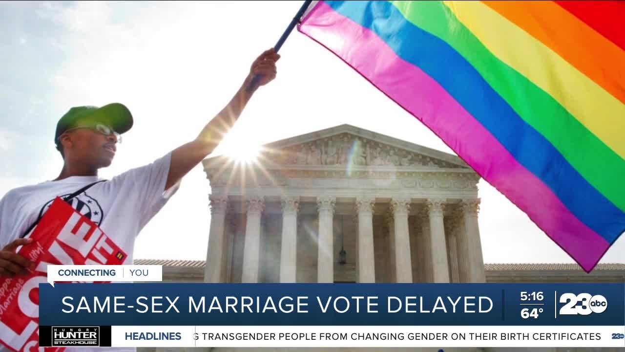 Democrats delay same-sex marriage vote until after mid-term elections