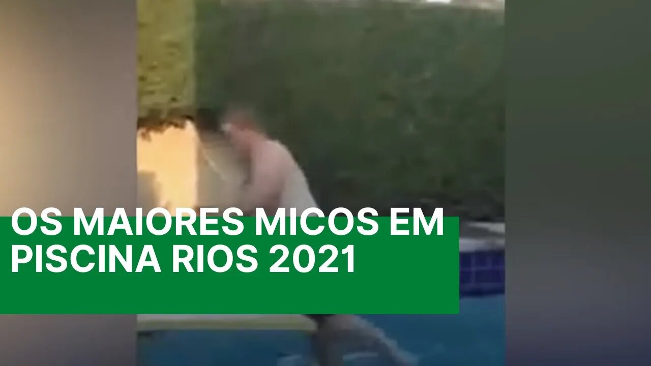 OS Maiores micos em piscina rios 2021