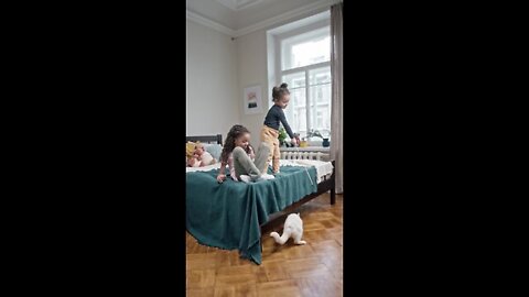 Kids Playing Catch The Bait With Their Cat In The Bedroom