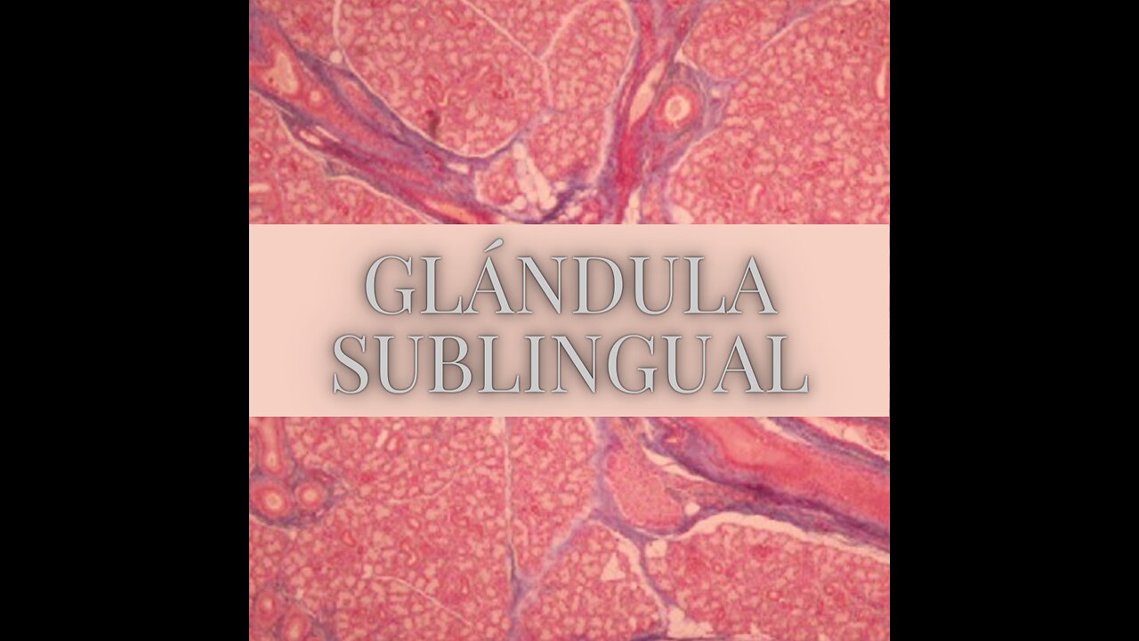 Repasa glandula sublingual en segundos