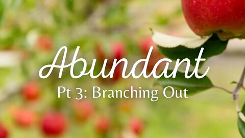 Abundant | Branching Out - Part 3