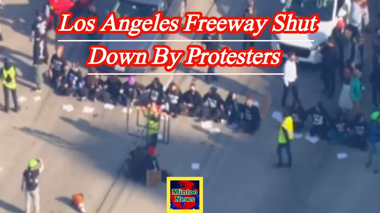Anti-Israel protesters shut down Los Angeles freeway