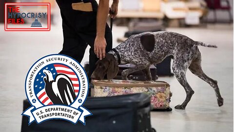 TSA Agent Removed From Dog Handling