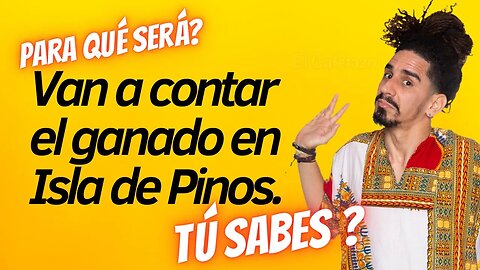 Van a contar el ganado en Isla de Pinos. Para qué será?. Tú sabes ?