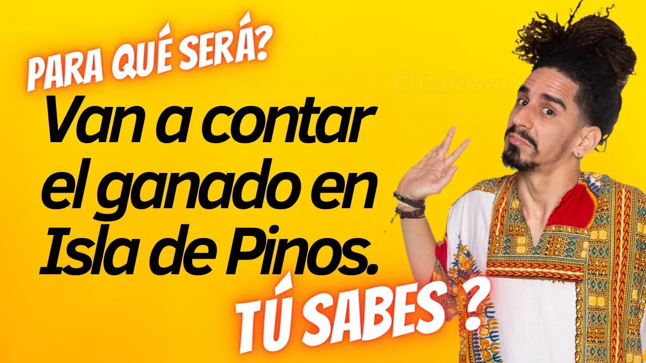 Van a contar el ganado en Isla de Pinos. Para qué será?. Tú sabes ?