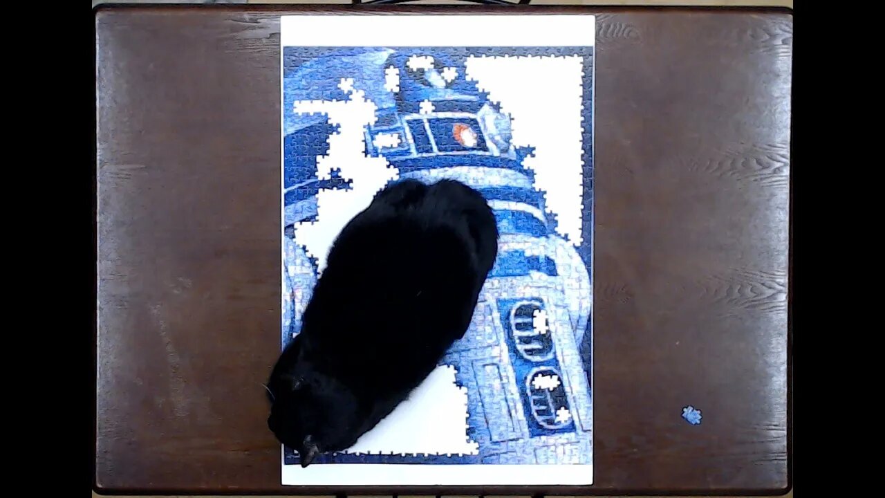 R2D2 Photomosaic Jigsaw Puzzle Time Lapse