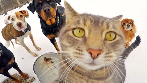 go watch, funny and cool videos only with me, you will obviously like it