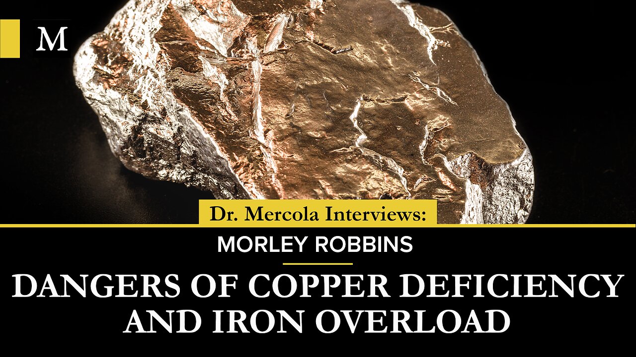 The Dangers of Copper Deficiency and Iron Overload- Interview with Morley Robbins