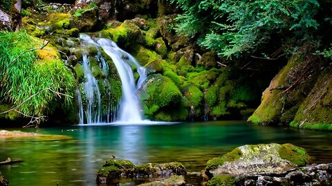 Satisfying nature ultra 4k video|| natural beauty 😍