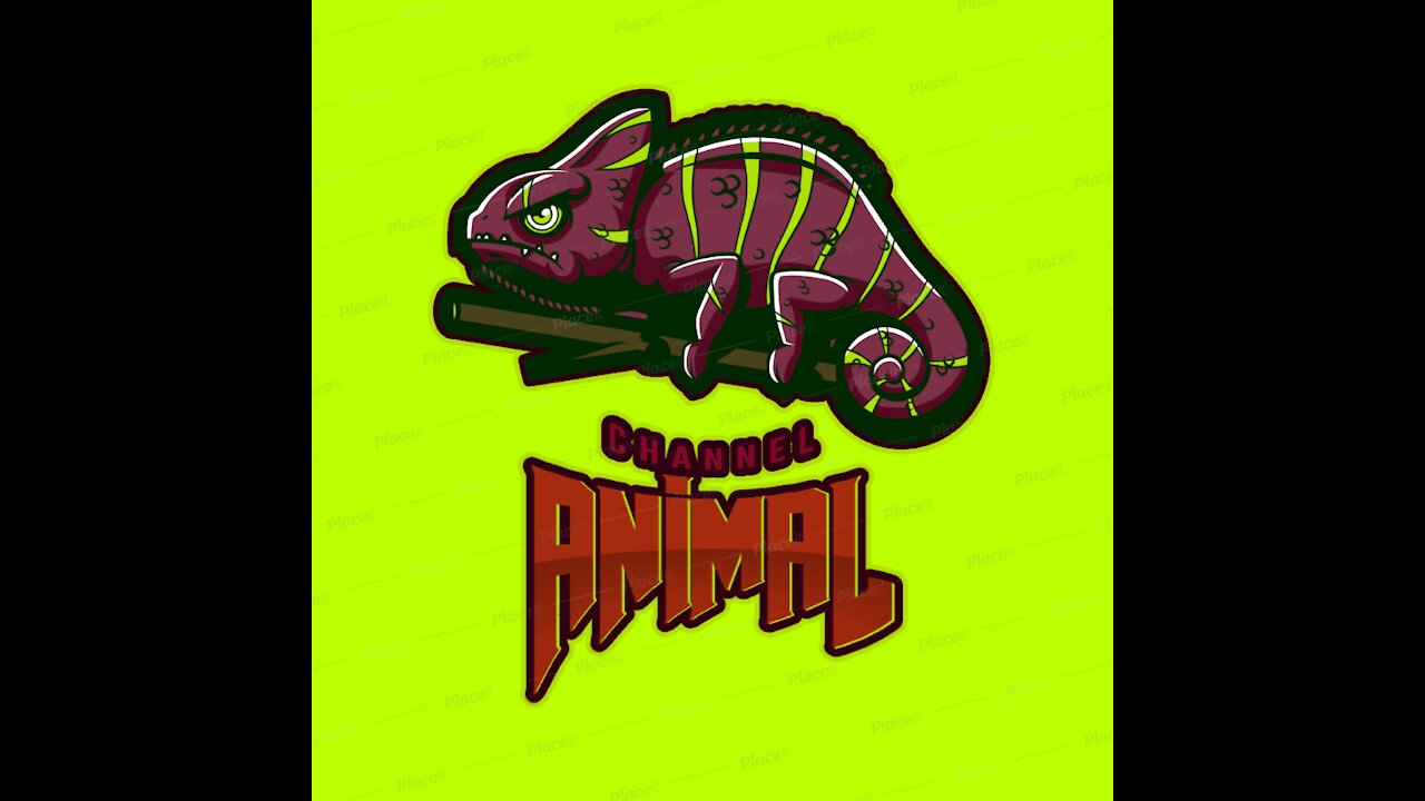 Voices of animals part 3